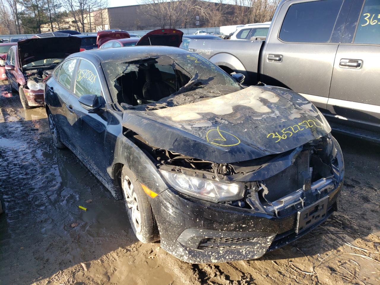 HONDA CIVIC LX 2016 with VIN 19XFC2F55GE231915 - Photo from auction