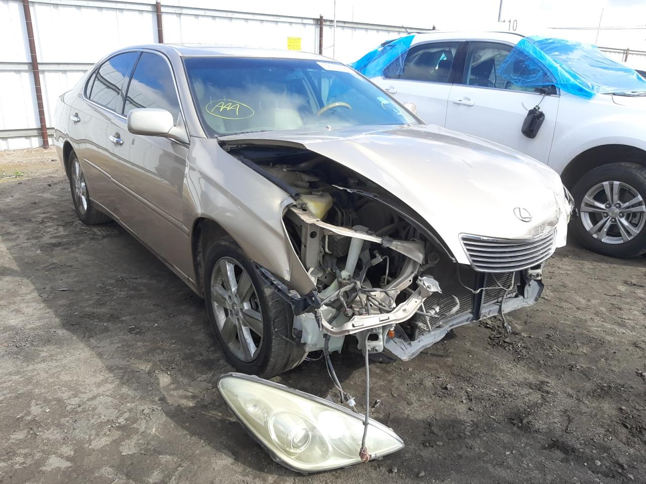 LEXUS ES 330 2005 with VIN JTHBA30GX55056914 - Photo from auction