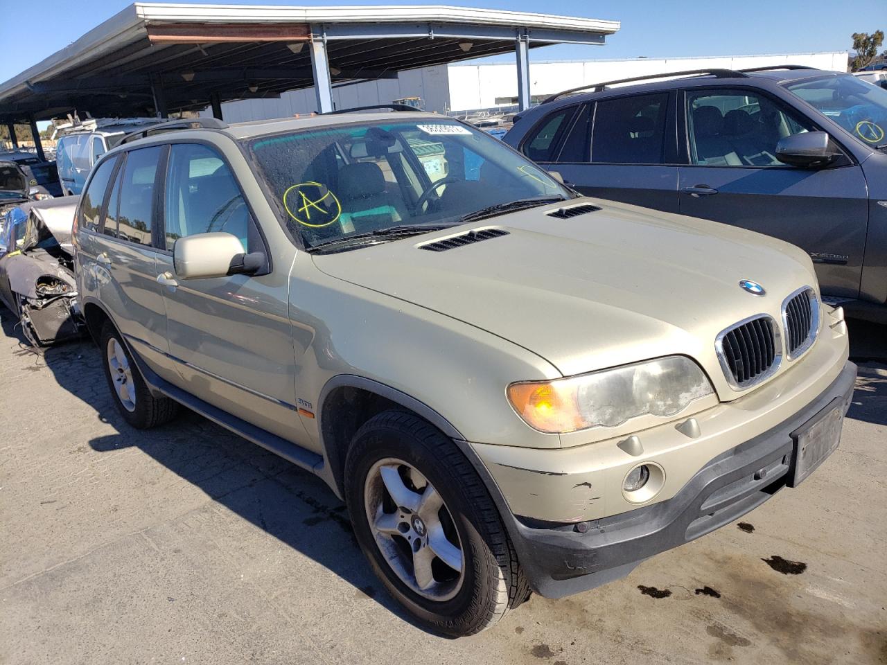 BMW X5 3.0I 2003 with VIN 5UXFA53553LV75689 - Photo from auction