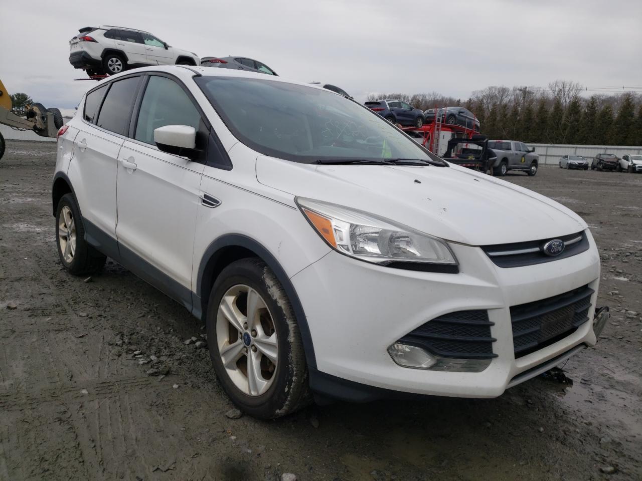 FORD ESCAPE SE 2014 with VIN 1FMCU0GX8EUE05409 - Photo from auction