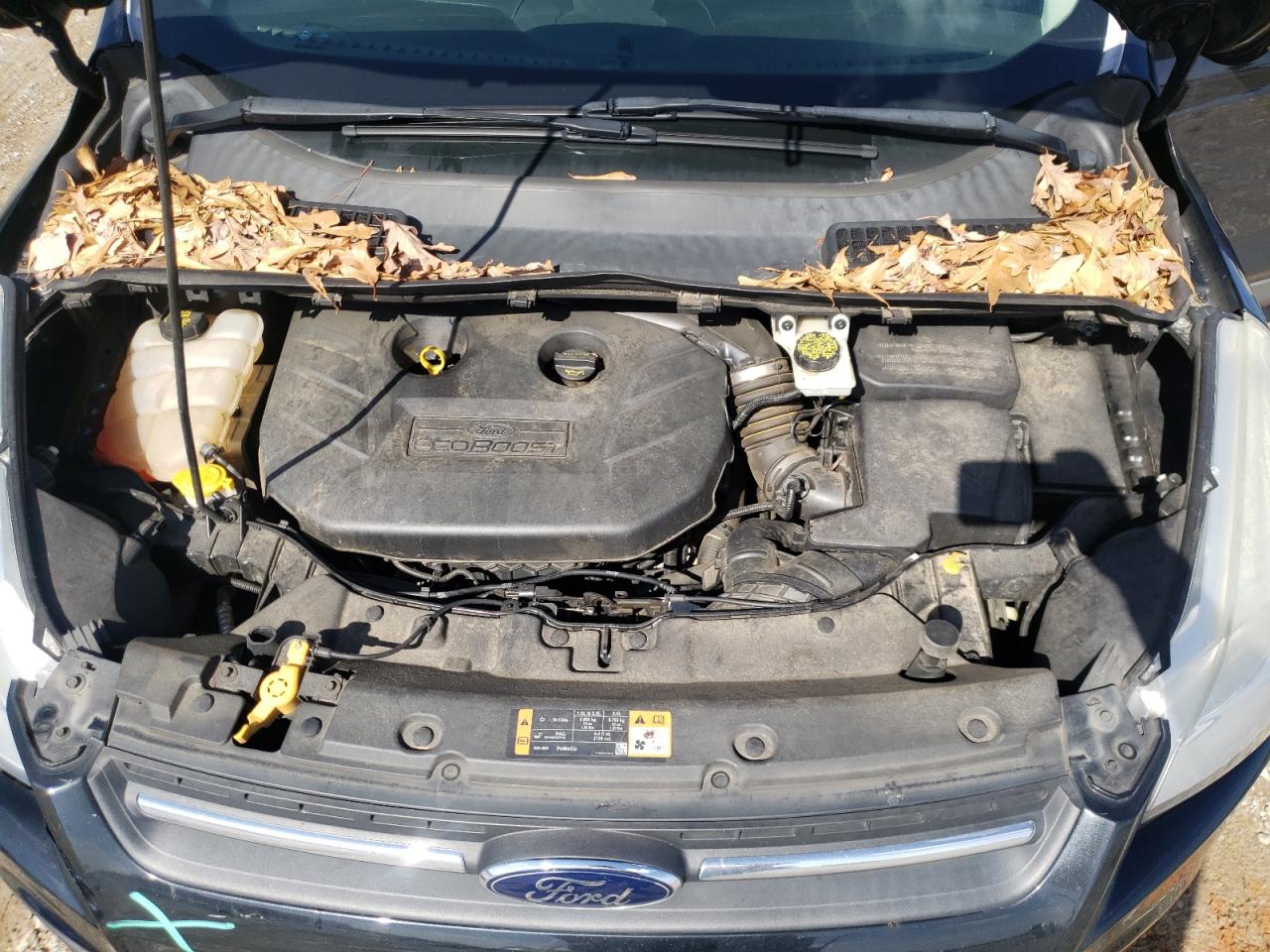 Photo 7 from auction – 2014 FORD ESCAPE SE with VIN 1FMCU0G97EUB68834
