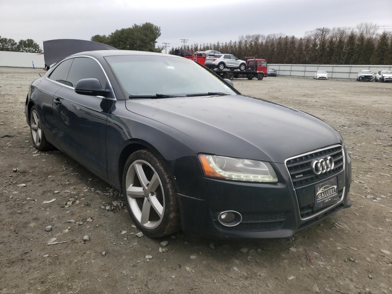 AUDI A5 QUATTRO 2009 z numerem VIN WAUDK78TX9A008565 - Zdjęcie z aukcji