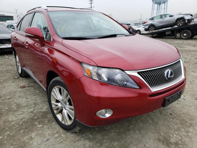 LEXUS RX 450 2010 with VIN JTJBC1BAXA2019279 - Photo from auction
