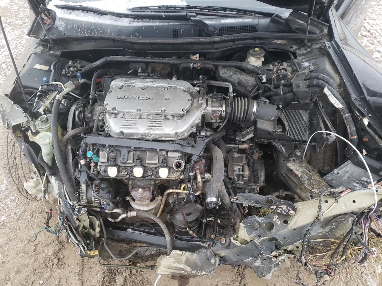 Photo 7 from auction – 2012 HONDA ACCORD EXL with VIN 1HGCP3F81CA027375