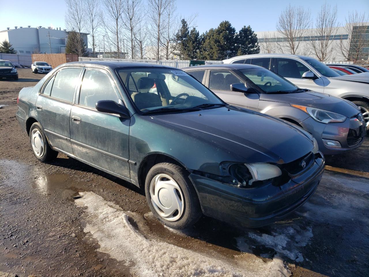TOYOTA COROLLA VE 1999 with VIN 2T1BR12E4XC769033 - Photo from auction