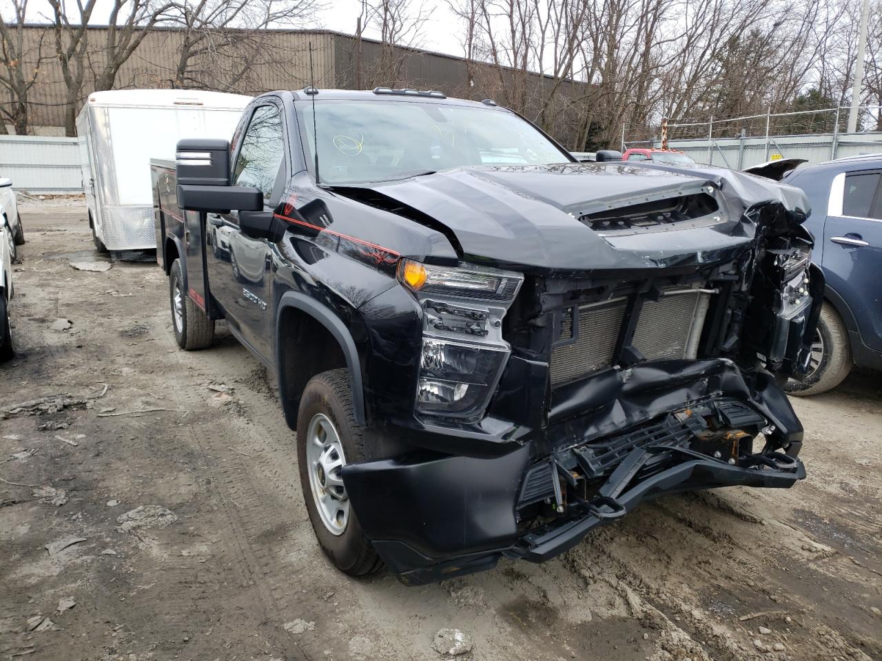 CHEVROLET SILVERADO 2020 with VIN 1GC0YLE76LF242745 - Photo from auction