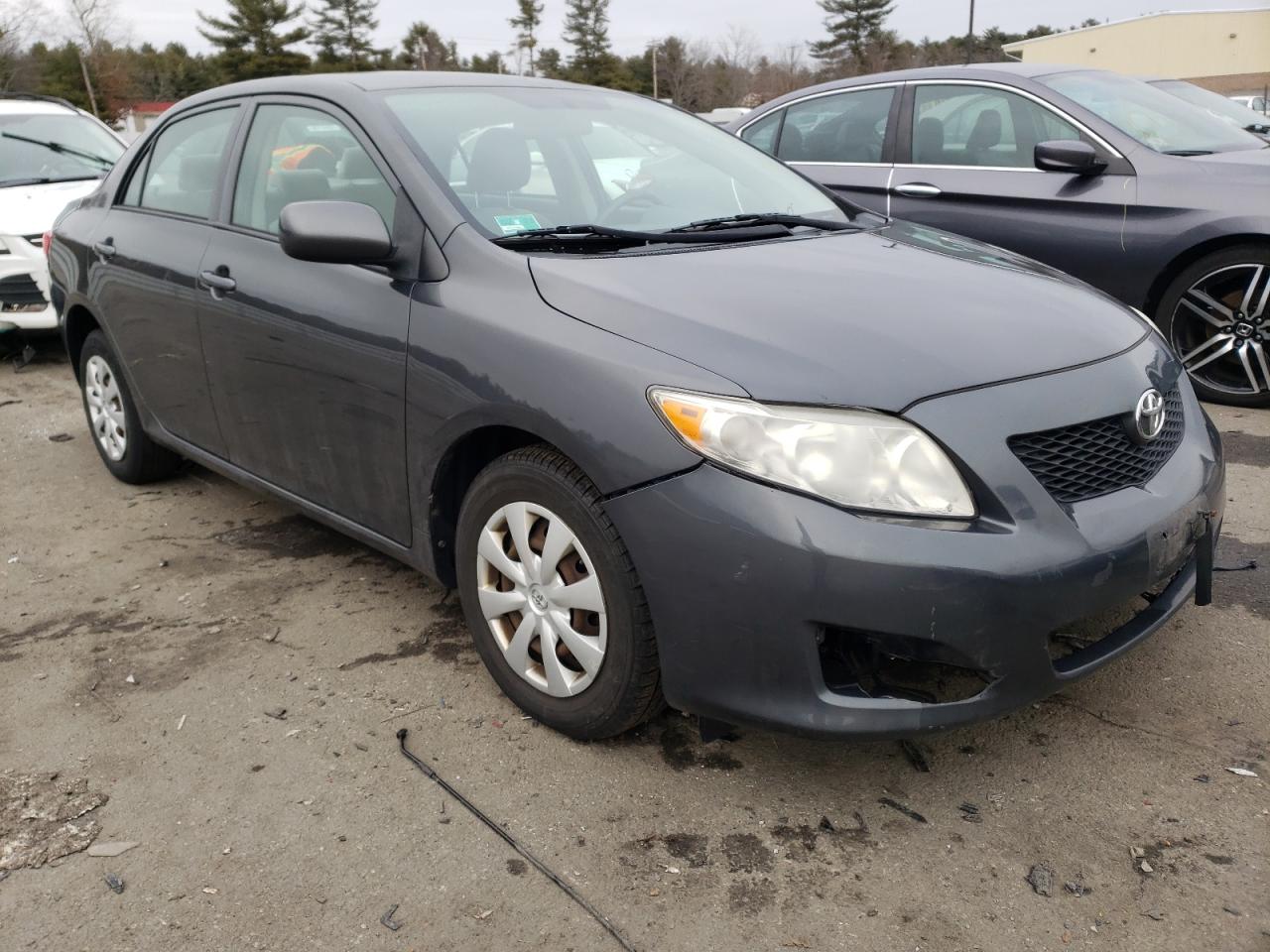 TOYOTA COROLLA BA 2009 with VIN 2T1BU40E49C172017 - Photo from auction