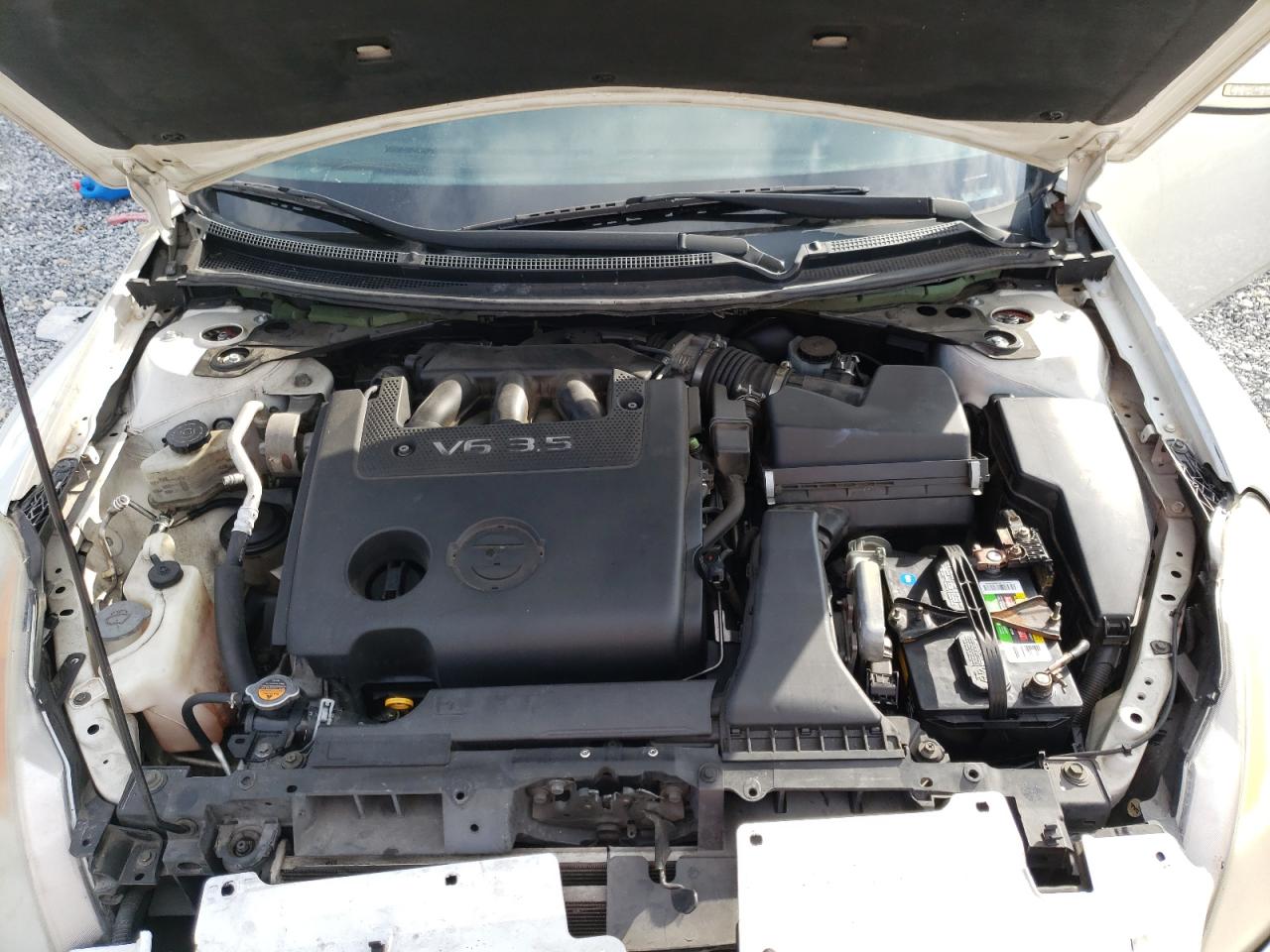 Photo 7 from auction – 2008 NISSAN ALTIMA 3.5 with VIN 1N4BL24E18C188593