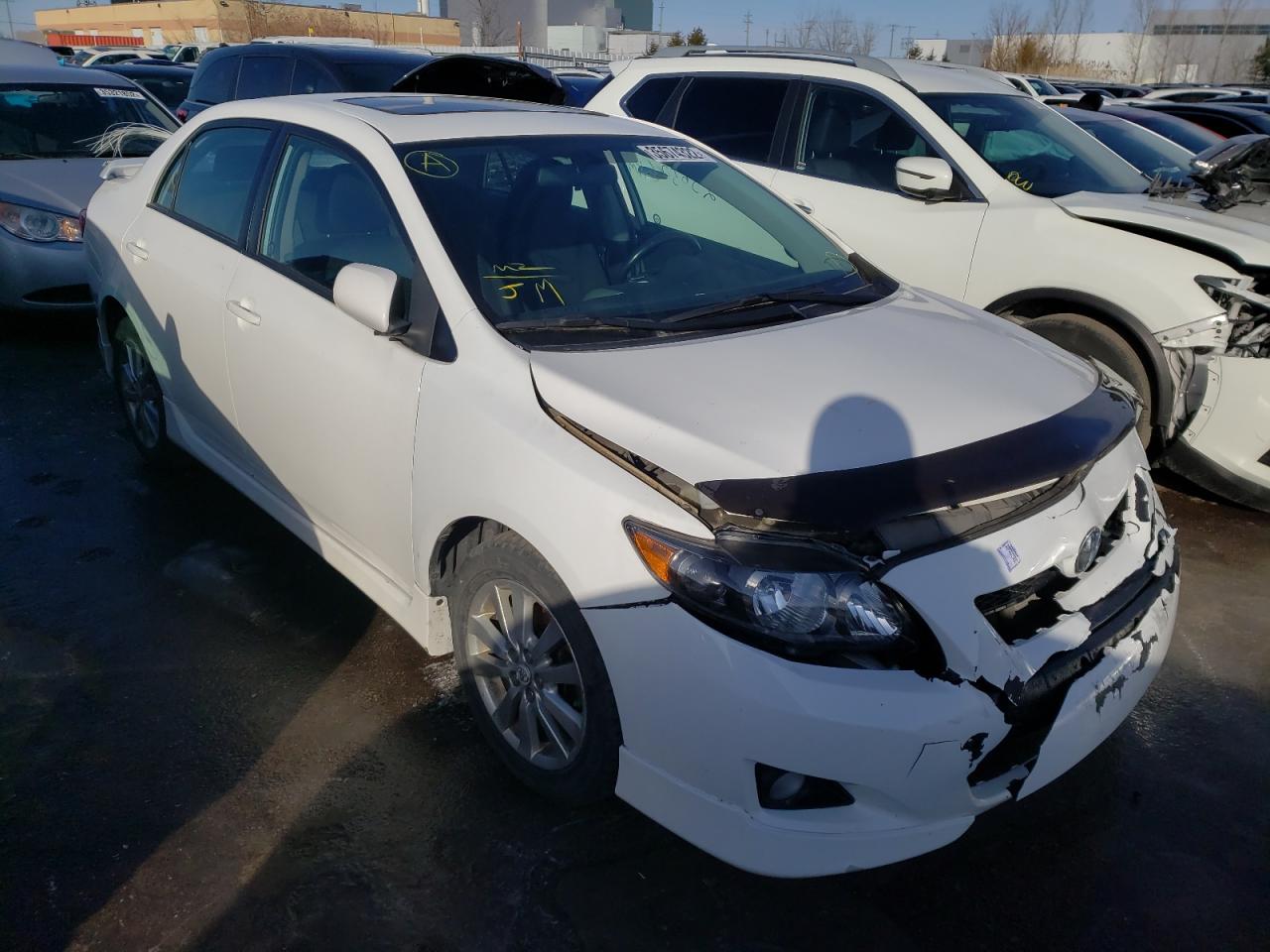 TOYOTA COROLLA BA 2010 with VIN 2T1BU4EE2AC436414 - Photo from auction