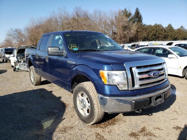 FORD F150 SUPER 2010 with VIN 1FTEW1E89AFC32815 - Photo from auction