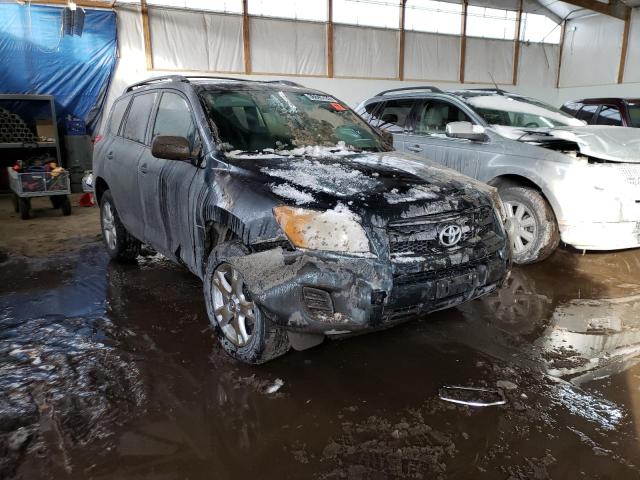 TOYOTA RAV4 2011 with VIN 2T3BF4DV2BW112057 - Photo from auction