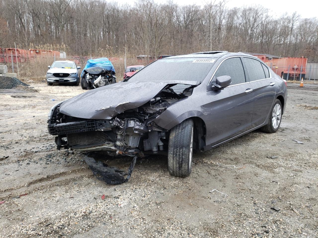 Photo 9 from auction – 2014 HONDA ACCORD EXL with VIN 1HGCR3F80EA035772