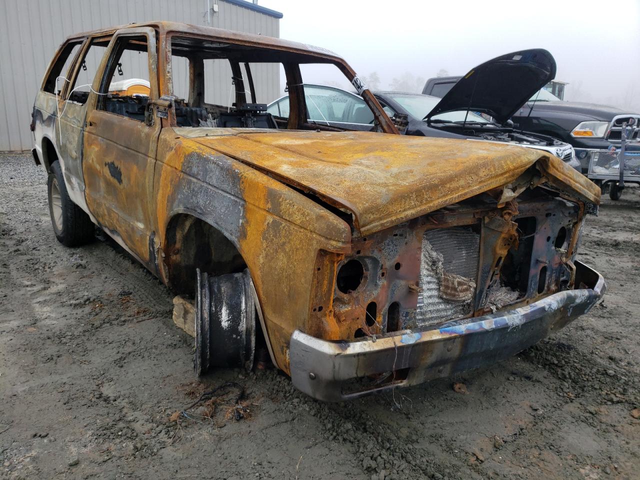 CHEVROLET BLAZER S10 1994 with VIN 1GNCS13W6R2124358 - Photo from auction