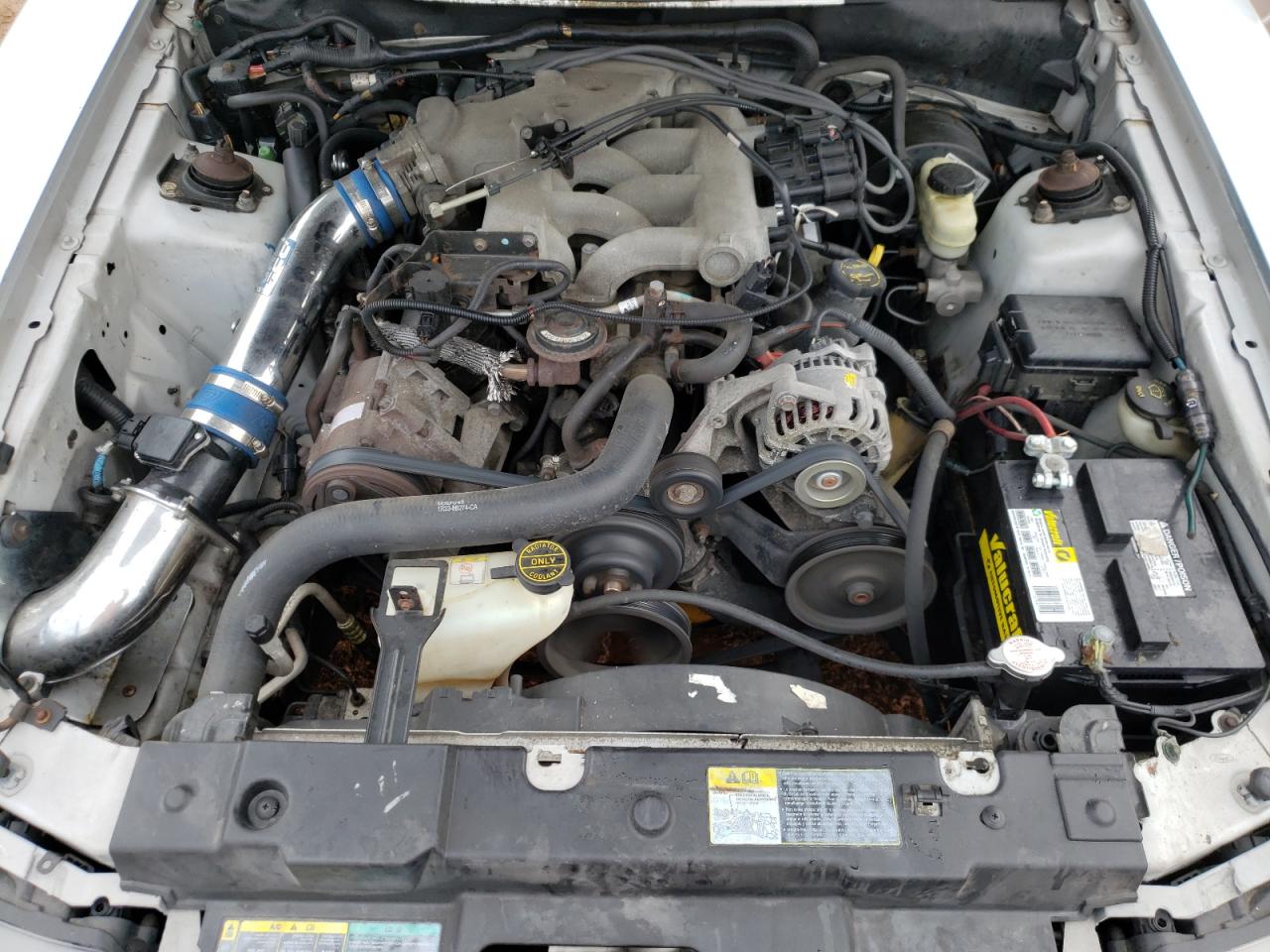 Photo 7 from auction – 2003 FORD MUSTANG with VIN 1FAFP44403F402800