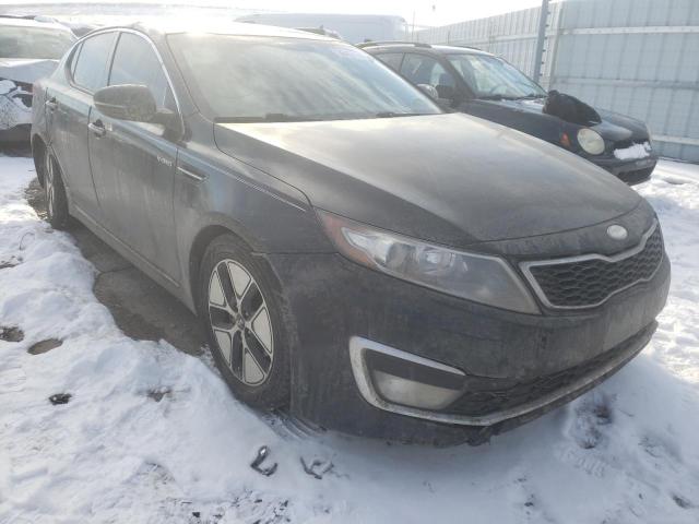 KIA OPTIMA HYB 2013 with VIN KNAGM4AD3D5053566 - Photo from auction