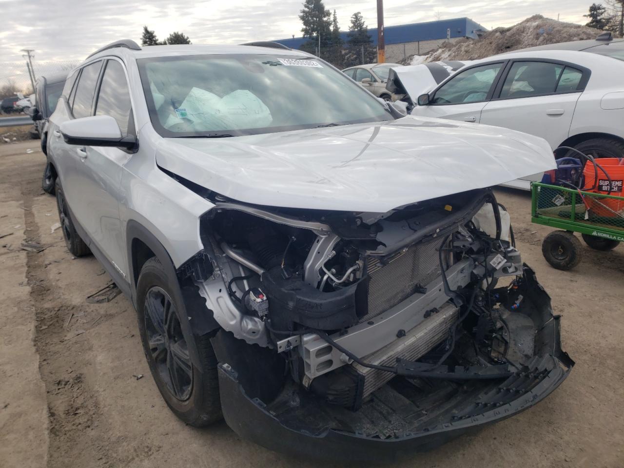 GMC TERRAIN SL 2020 with VIN 3GKALMEV4LL142712 - Photo from auction