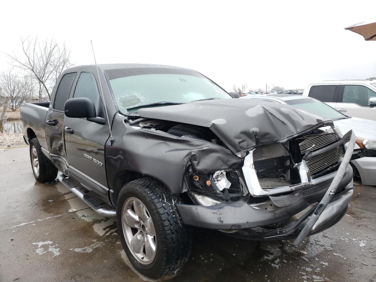 DODGE RAM 1500 2002 with VIN 1D7HA18N72S672446 - Photo from auction