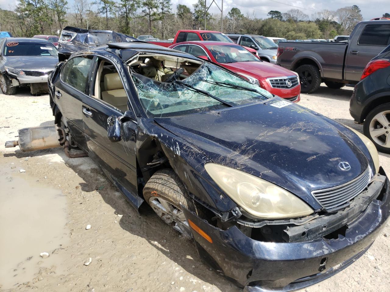LEXUS ES 330 2005 with VIN JTHBA30G955077320 - Photo from auction