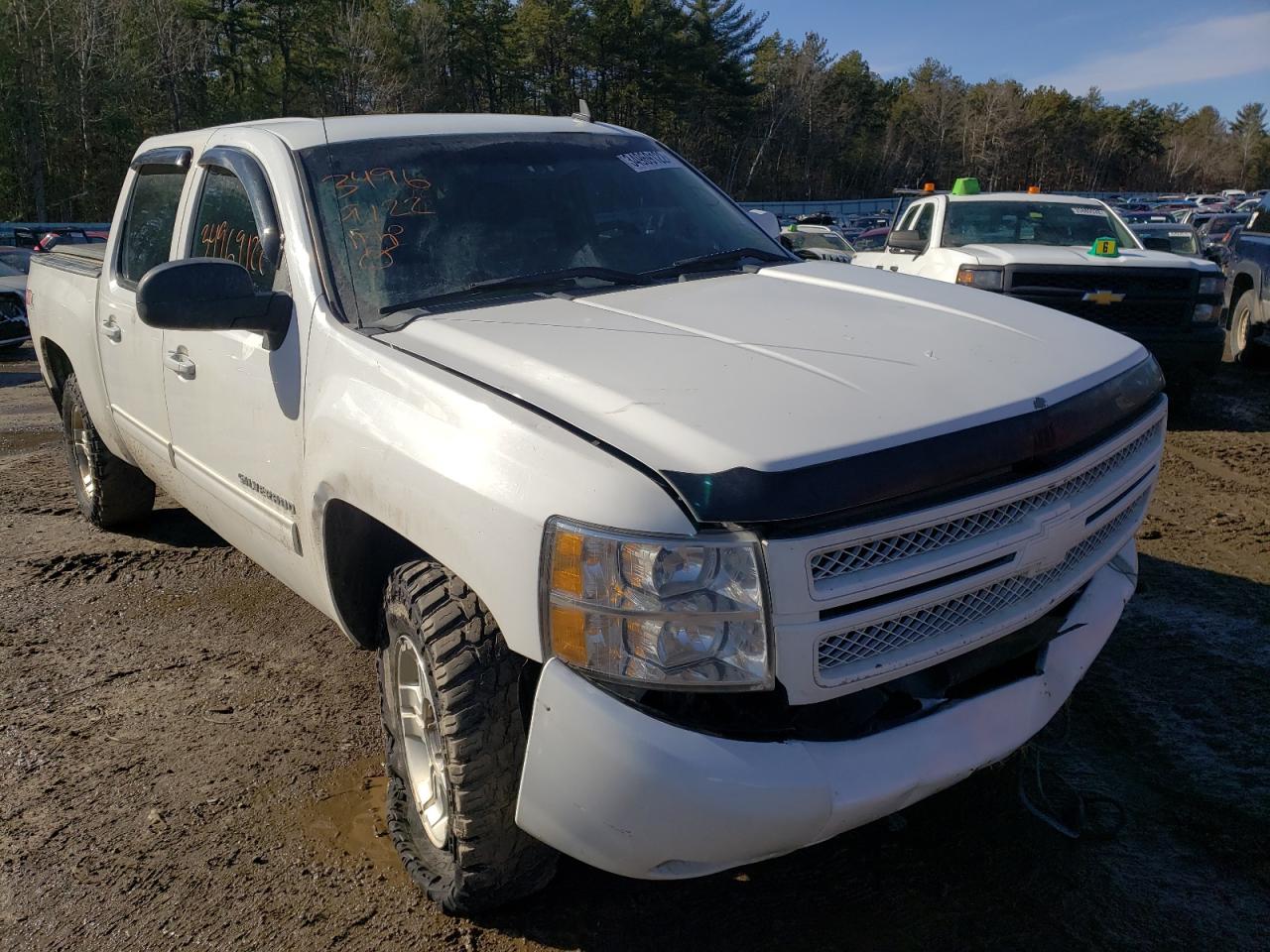 CHEVROLET SILVERADO 2013 with VIN 3GCPKSE27DG267555 - Photo from auction