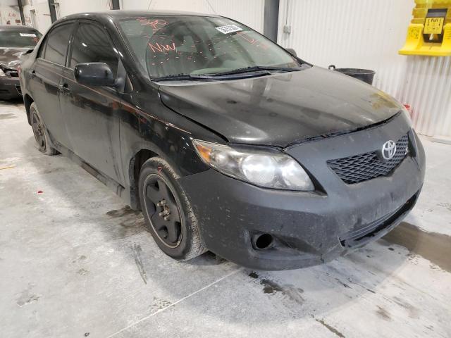 TOYOTA COROLLA 2010 with VIN 2T1BU4EE6AC427621 - Photo from auction