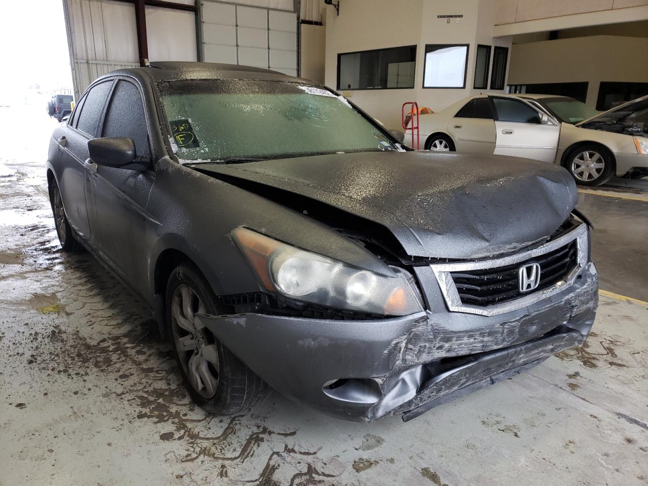 HONDA ACCORD EXL 2008 with VIN 1HGCP368X8A035935 - Photo from auction