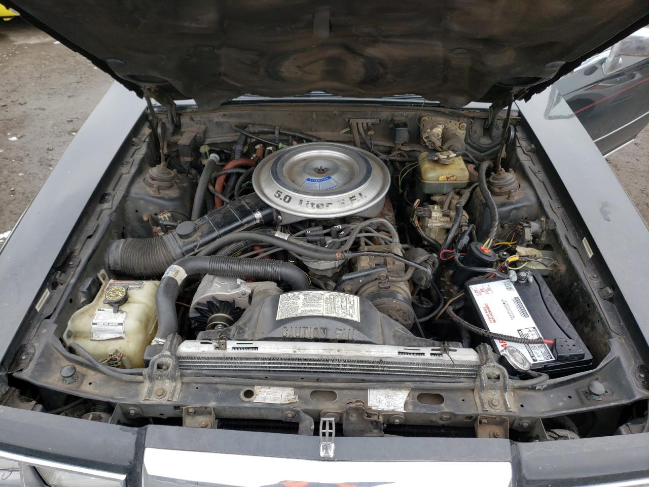 Photo 7 from auction – 1985 LINCOLN CONTINENTA with VIN 1MRBP97F7FY639258