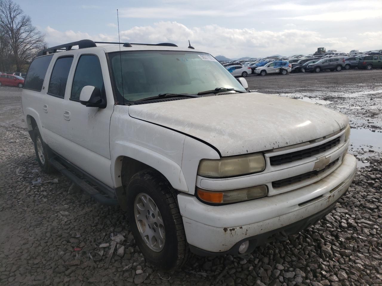 CHEVROLET SUBURBAN 2004 with VIN 3GNFK16Z34G274396 - Photo from auction