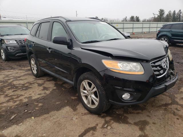 HYUNDAI SANTA FE L 2011 with VIN 5XYZKDAG2BG034409 - Photo from auction