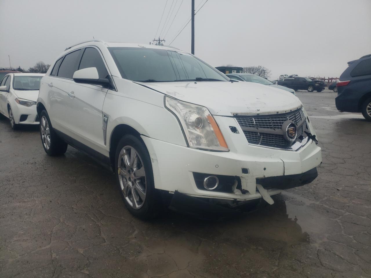 CADILLAC SRX PERFOR 2012 with VIN 3GYFNEE34CS541541 - Photo from auction