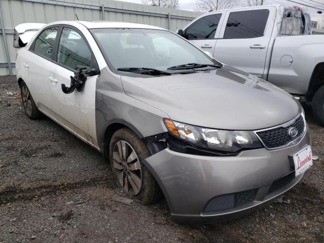 KIA FORTE EX 2013 with VIN KNAFU4A20D5671308 - Photo from auction