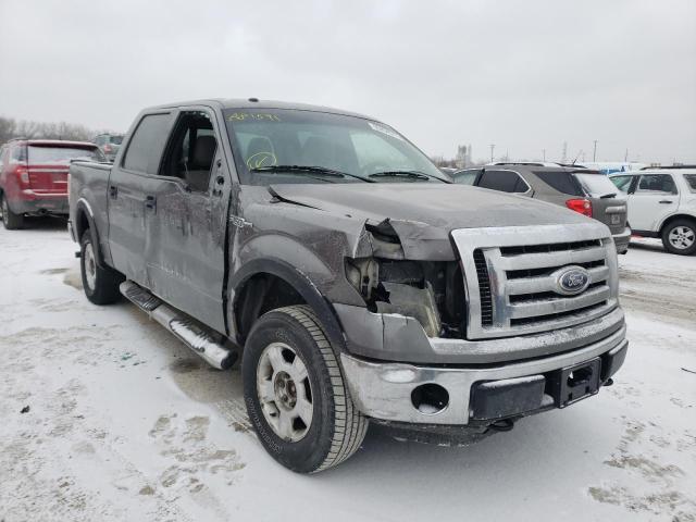 FORD F150 SUPER 2010 with VIN 1FTEW1E82AFA81591 - Photo from auction