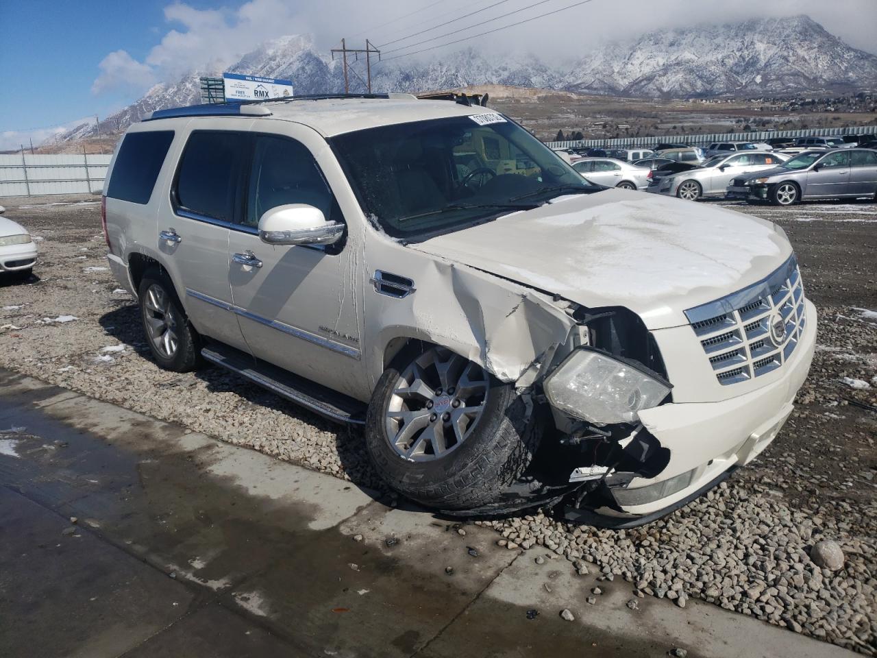 CADILLAC ESCALADE 2010 with VIN 1GYUKAEFXAR159906 - Photo from auction