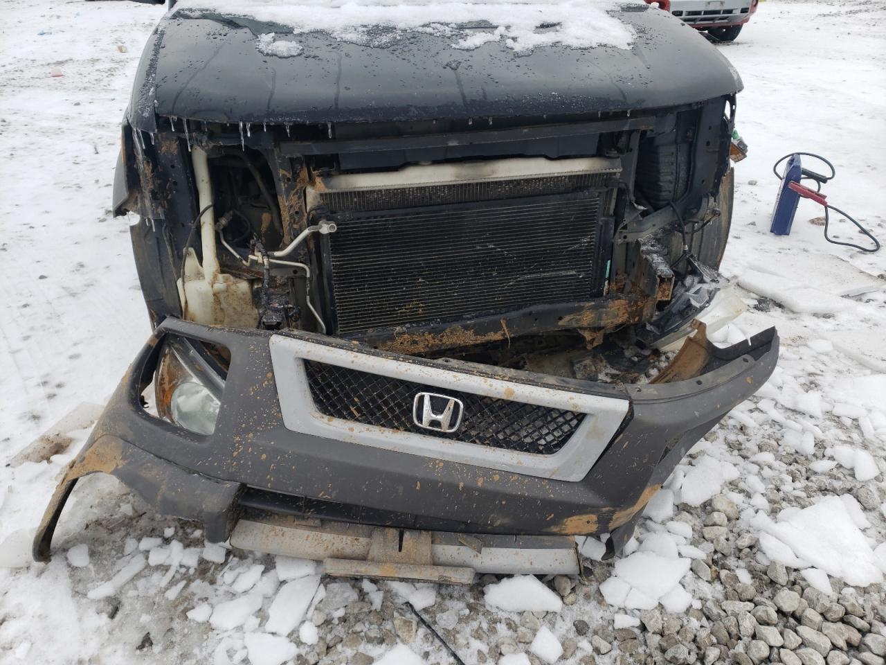 Photo 9 from auction – 2004 HONDA ELEMENT EX with VIN 5J6YH28654L033459