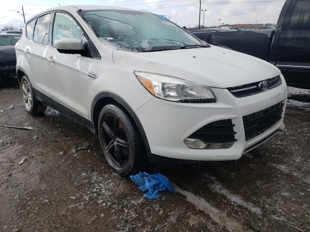 FORD ESCAPE SE 2014 with VIN 1FMCU0G92EUD95302 - Photo from auction