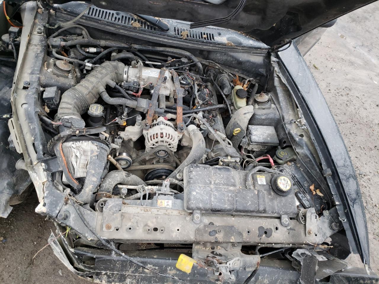 Photo 7 from auction – 2002 FORD MUSTANG GT with VIN 1FAFP45X02F133690