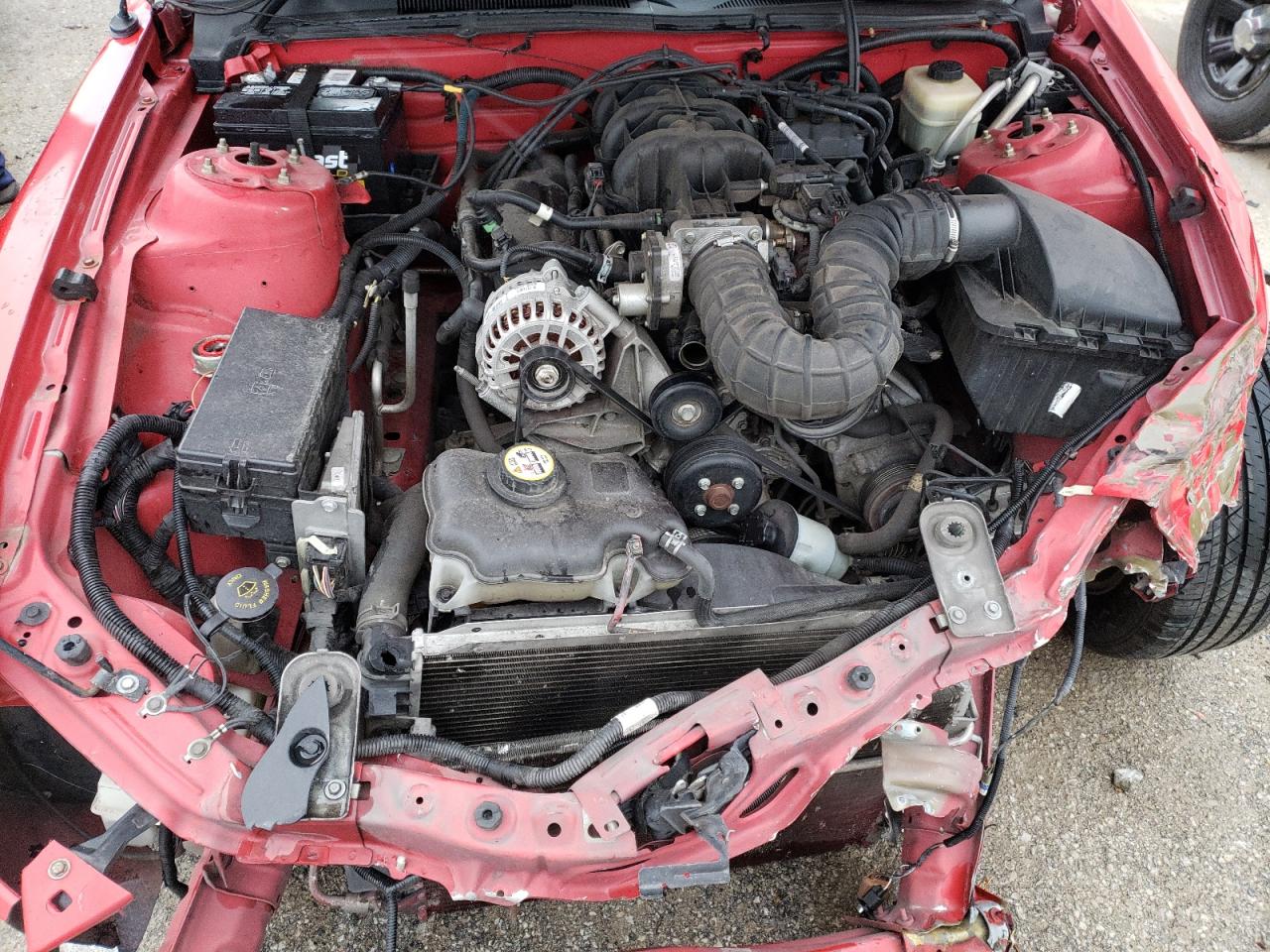 Photo 7 from auction – 2008 FORD MUSTANG with VIN 1ZVHT80N985207051