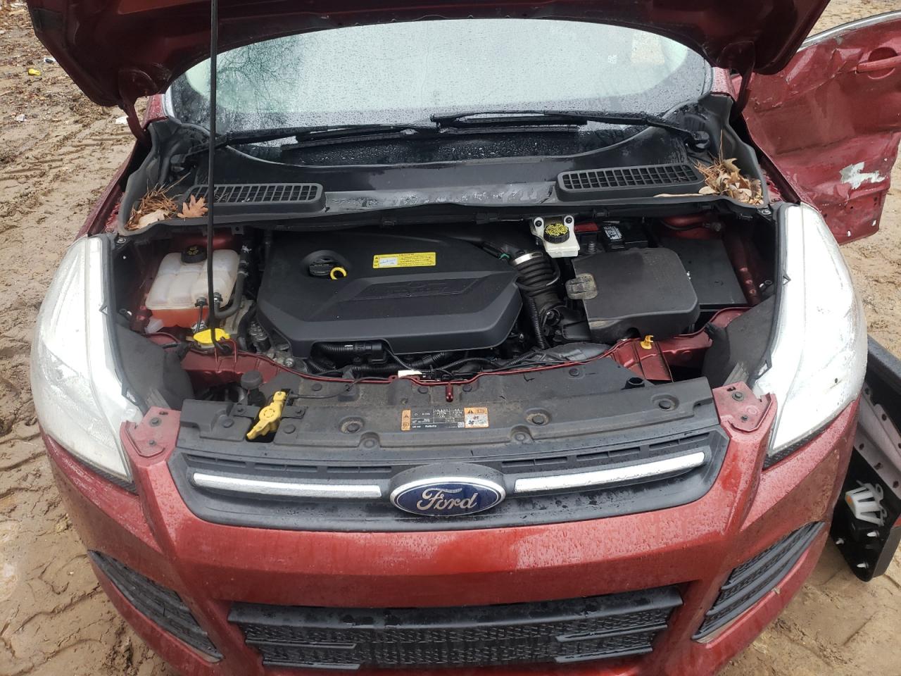 Photo 7 from auction – 2014 FORD ESCAPE SE with VIN 1FMCU0GX7EUB43804