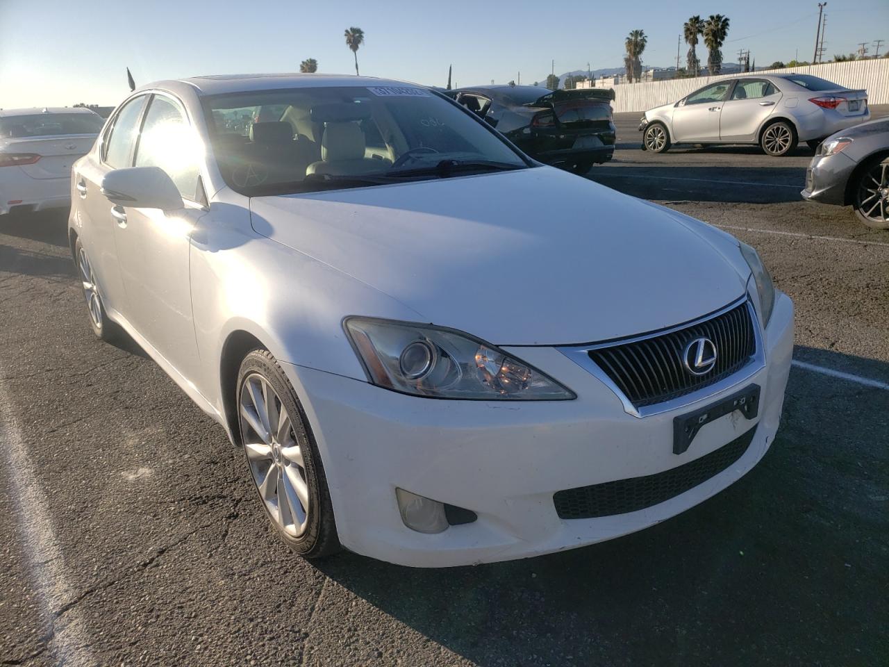 LEXUS IS 250 2009 with VIN JTHBK262195086618 - Photo from auction