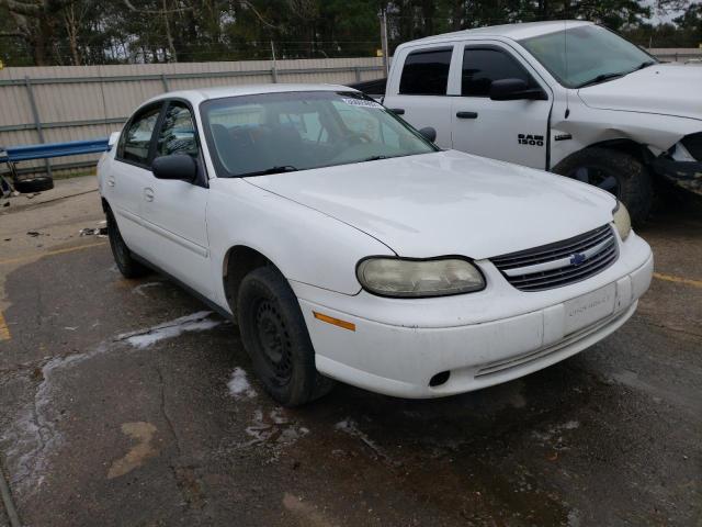 CHEVROLET MALIBU 2002 with VIN 1G1ND52J22M593975 - Photo from auction
