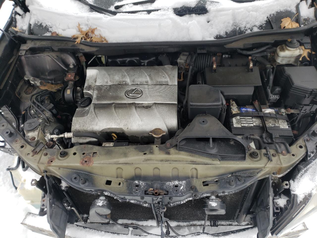 Photo 7 from auction – 2010 LEXUS RX 350 with VIN 2T2BK1BA8AC011295