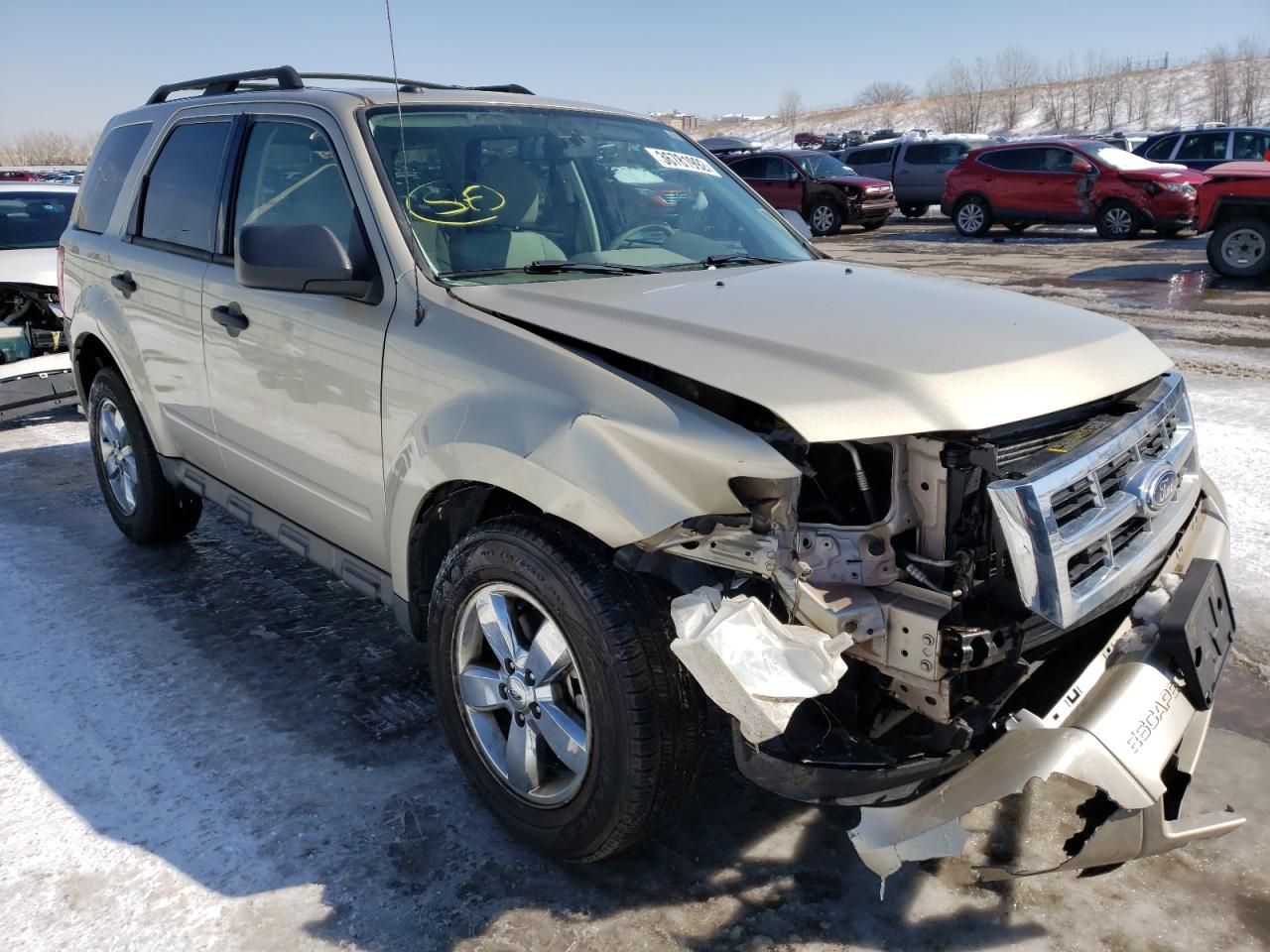 Photo 1 from auction – 2010 FORD ESCAPE XLT with VIN 1FMCU0DG9AKC88143