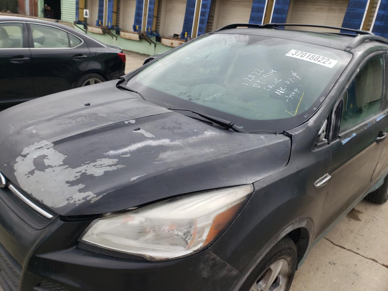 Photo 9 from auction – 2013 FORD ESCAPE SE with VIN 1FMCU9G9XDUD88519