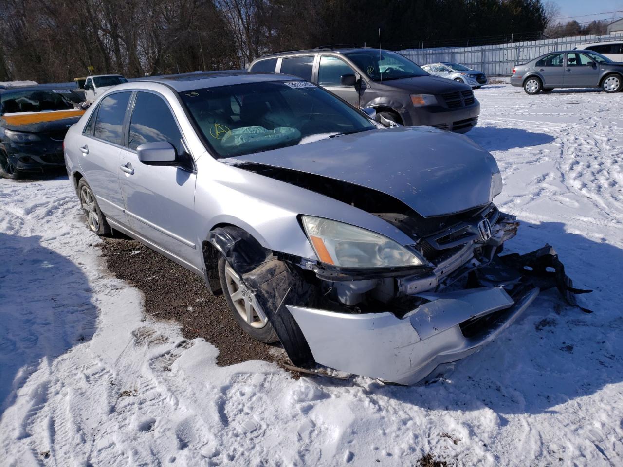 HONDA ACCORD EX 2004 with VIN 1HGCM66404A800202 - Photo from auction