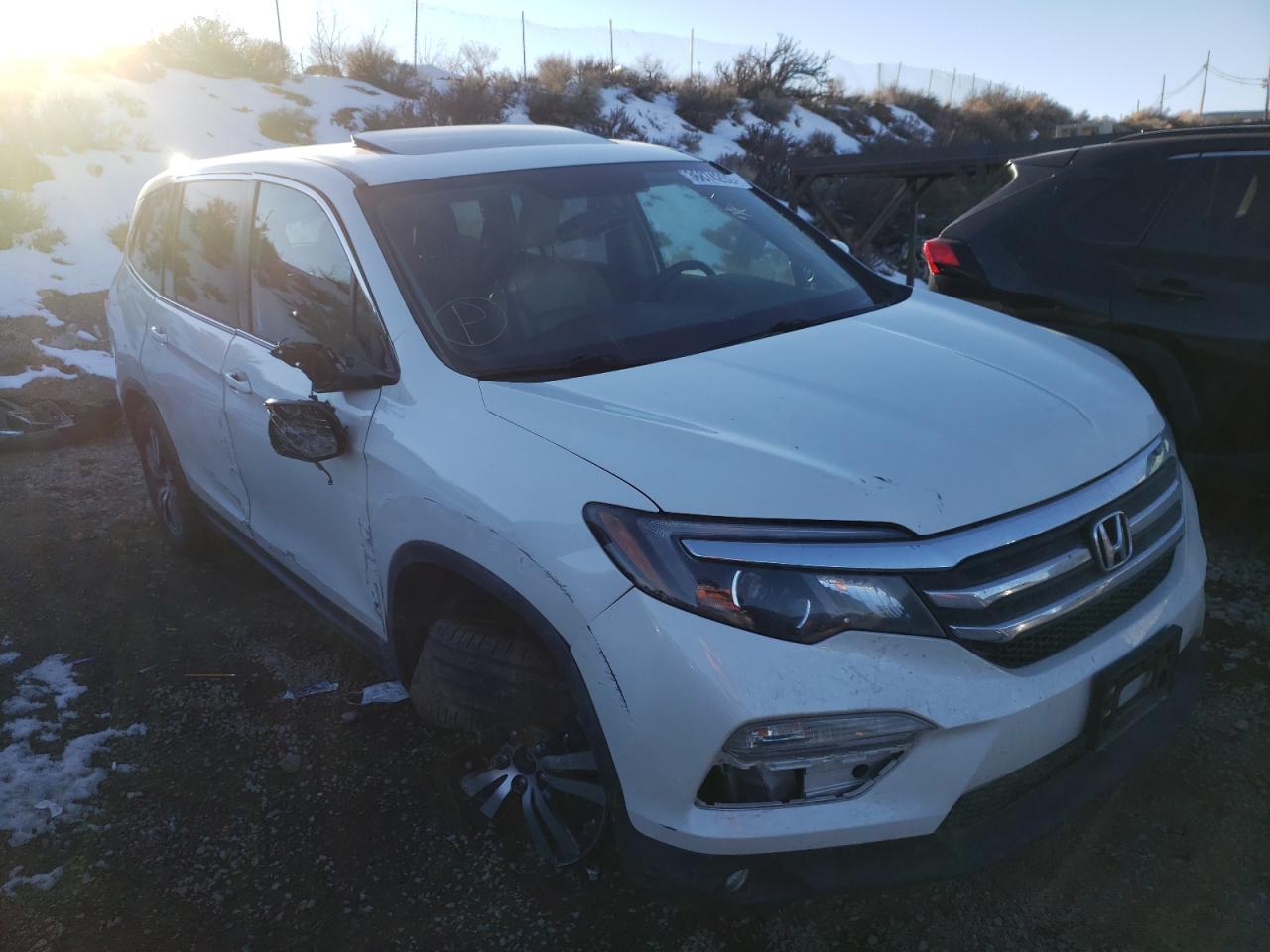 HONDA PILOT EXLN 2016 with VIN 5FNYF5H73GB049950 - Photo from auction