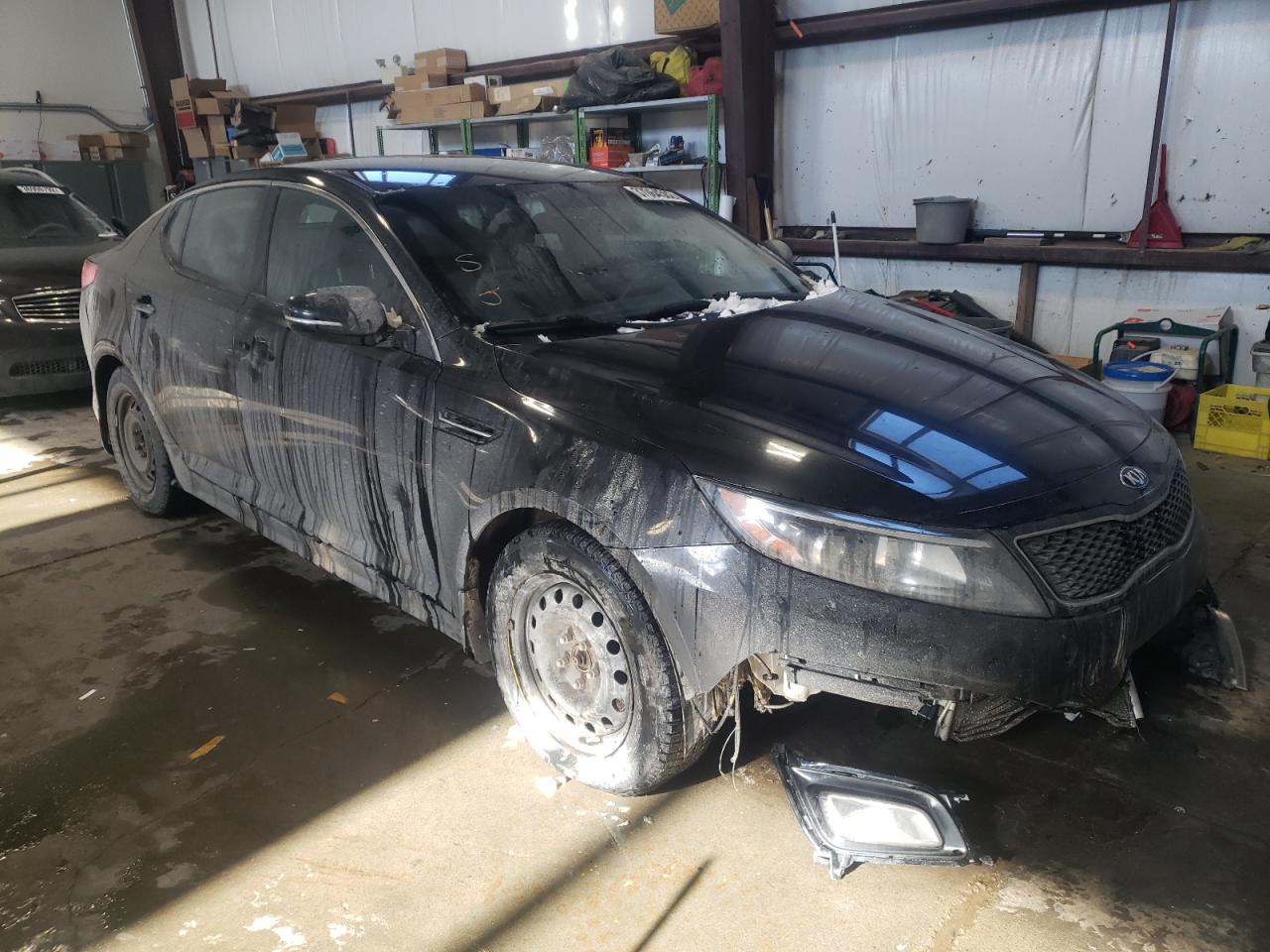 KIA OPTIMA LX 2015 с VIN KNAGM4A70F5530466 - Фото с аукциона