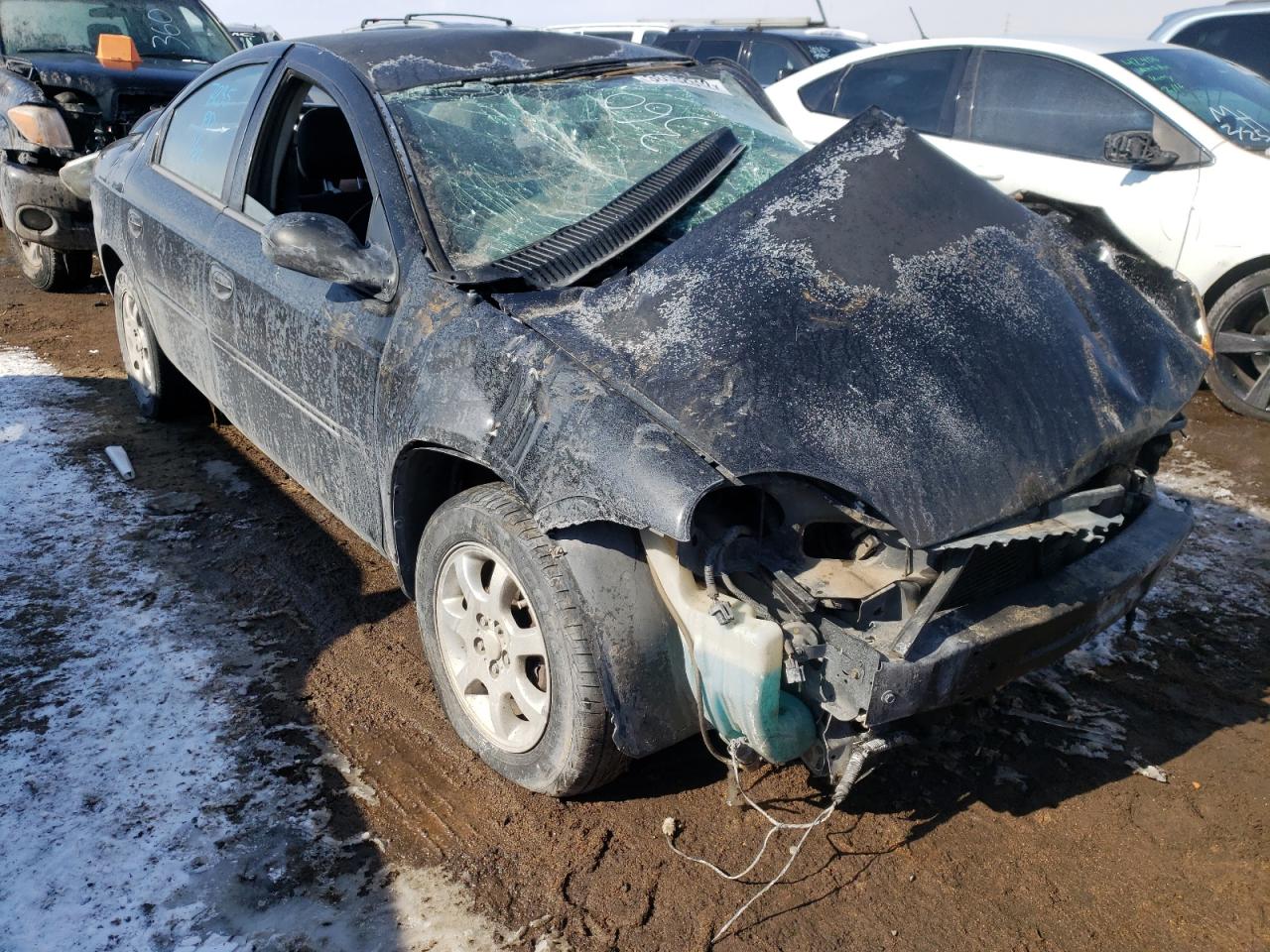 DODGE NEON SXT 2003 with VIN 1B3ES56C83D201853 - Photo from auction