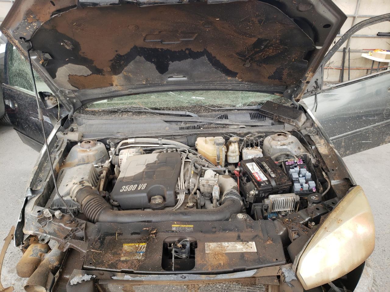 Photo 7 from auction – 2005 CHEVROLET MALIBU LS with VIN 1G1ZT52815F219934