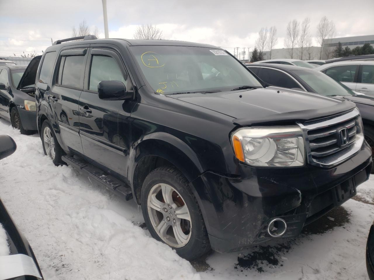 HONDA PILOT EXL 2013 with VIN 5FNYF4H50DB501177 - Photo from auction