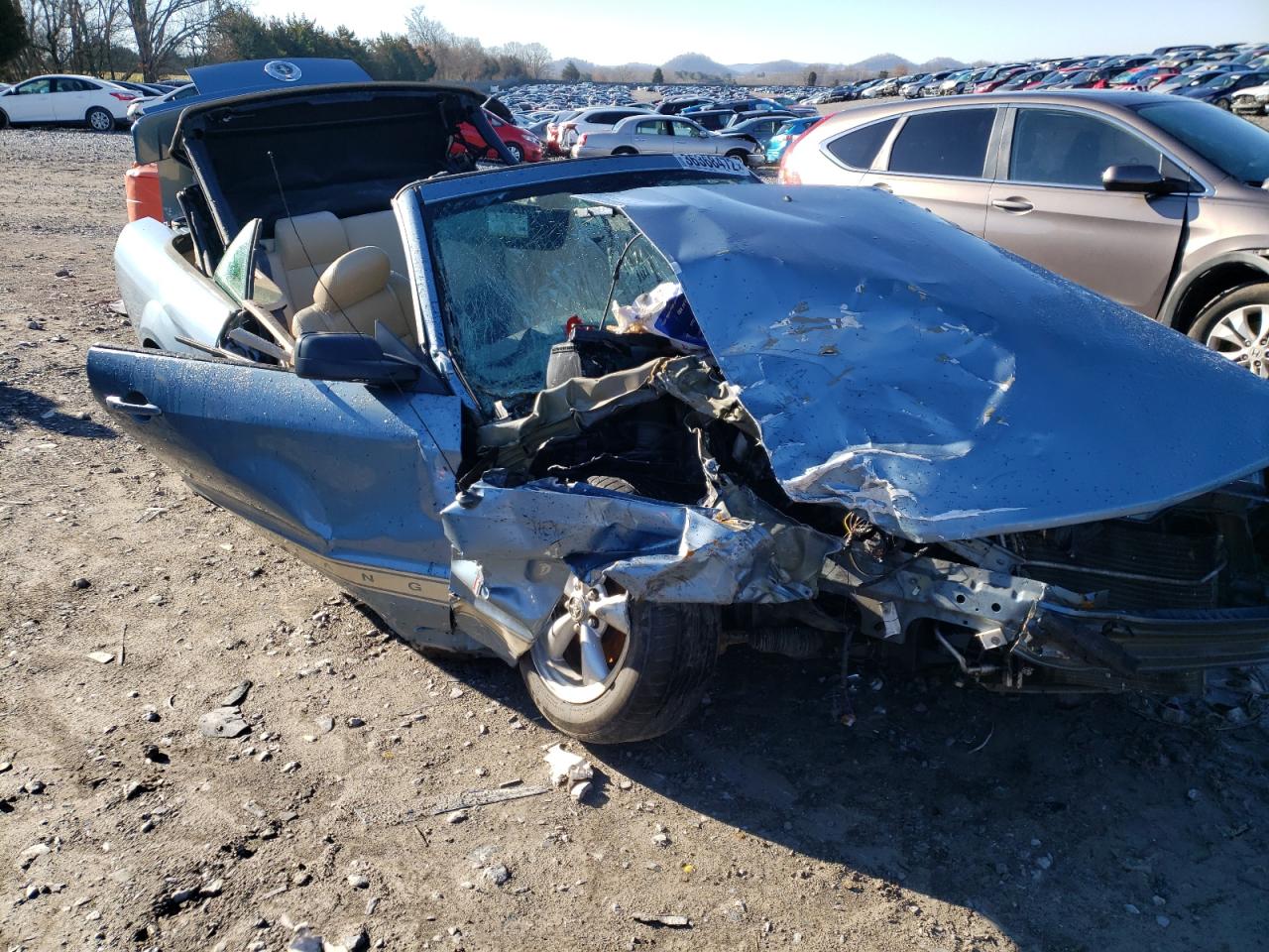 Photo 9 from auction – 2007 FORD MUSTANG with VIN 1ZVFT84N175342329