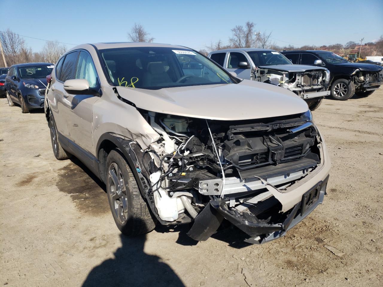 HONDA CR-V EX 2019 with VIN 5J6RW2H56KL015230 - Photo from auction